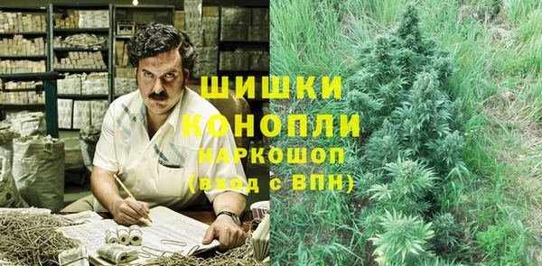 эйфоретик Арсеньев